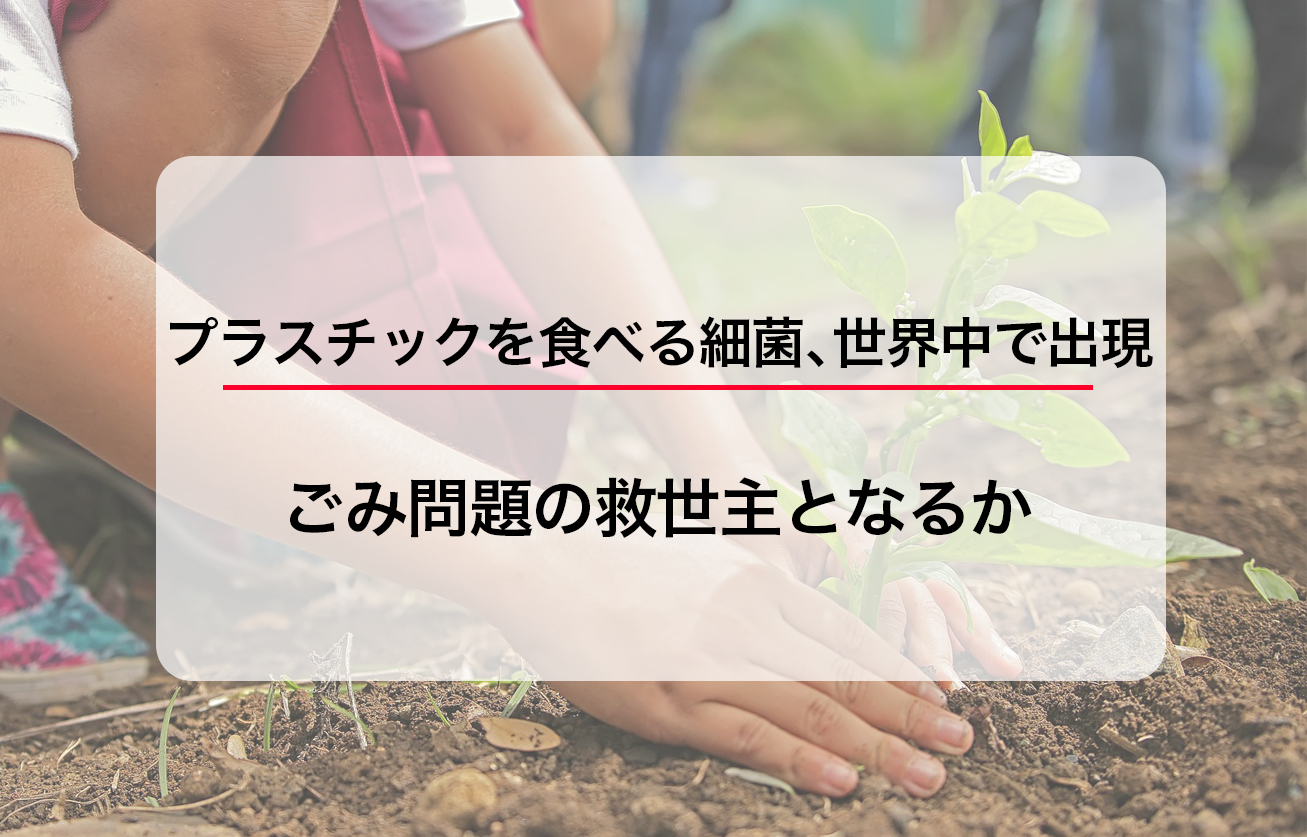 プラスチックを食べる細菌、世界中で出現。ごみ問題の救世主となるか  by IDEAS FOR GOOD