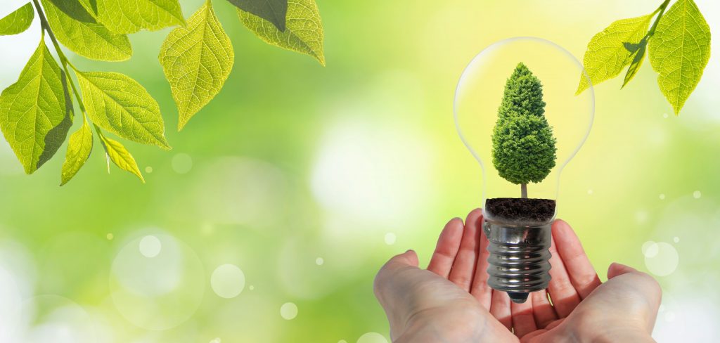 身近にできる地球温暖化対策とは？個人でできることの具体例を紹介