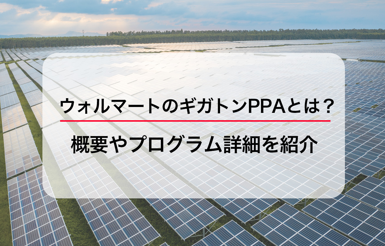 ウォルマートのギガトンPPAとは？概要やプログラム詳細を紹介