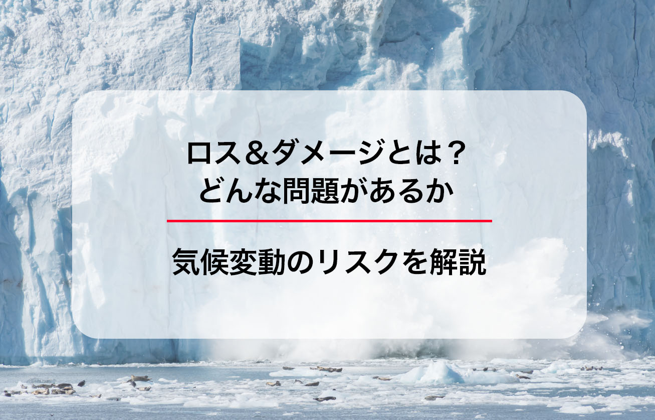ロス＆ダメージとは？どんな問題があるか、気候変動のリスクを解説