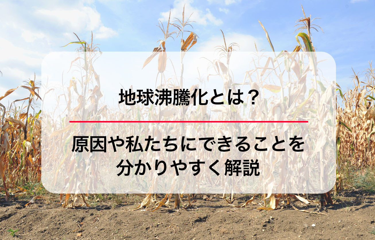地球沸騰化とは？原因や私たちにできることを分かりやすく解説